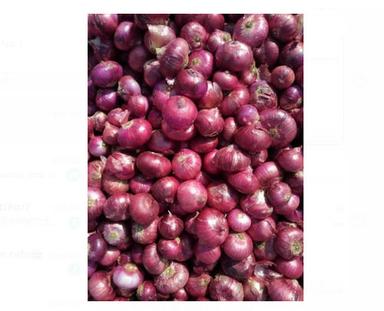 1 Kg Common Cultivated Round Red Onion Moisture (%): 92%