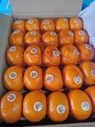 Common Delicious Taste Pesticide Free No Artificial Color Fresh Rich In Vitamin C Orange Fruits