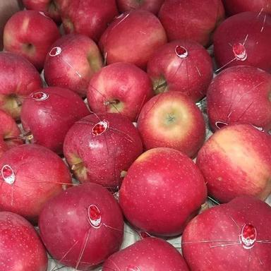 Common Healthy And Nutritious Rich In Vitamins And Minerals Fresh Red Kashmiri Apples