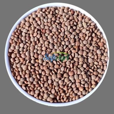 Soft Texture And Earthy Flavor Machine Cleaned Whole Lentils Crop Year: 2022 Years