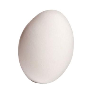 स्वस्थ 100% विटामिन और खनिज प्रोटीन से भरपूर स्वाद वाले कुक्कुट अंडे अंडे की उत्पत्ति: चिकन 