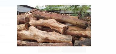 100% Eco-Friendly Long-Lasting Lightweighted Timber Teak Round Logs, 8 Feet Size Grade: Wood Grade