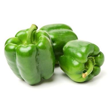 100% Pure A Grade Organic Fresh Green Bell Pepper,Green Capsicums 