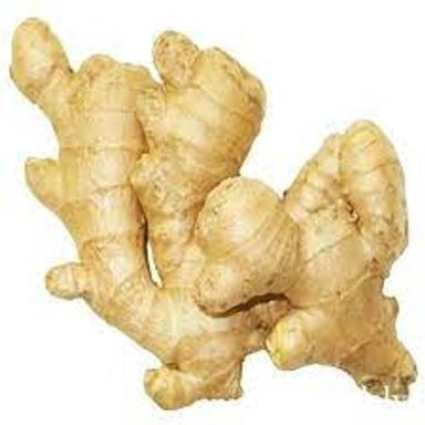Firm And Fibrous Pure Organic Dry Ginger Shelf Life: 3 Week