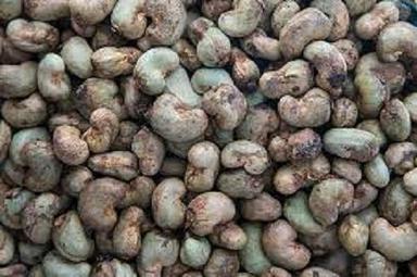 Fresh Brown Colour Dried Processing Cashew Nuts 1 Kilogram And One Year Shelf Life Broken (%): %