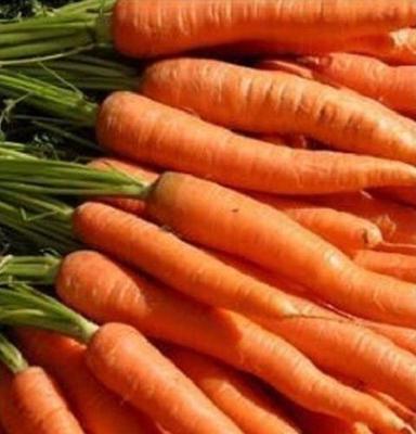 100 Percent Natural Pure And Organic Fresh Red Carrot, Rich In Vitamins A Moisture (%): 87.5%
