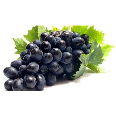 Common Fresh And Natural Round Sweet Black Grapes For Delicious And Tasty Snack