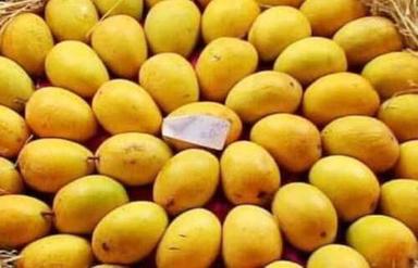 Round 100 Percent Organic Quality And Delicious Farm Fresh Yellow Natural Mangoes