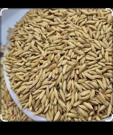 Brown 100 Percent Natural And Organic Raw Barley Paddy Seeds