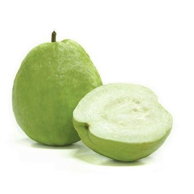 Common Fresh And Natural Green Guava 