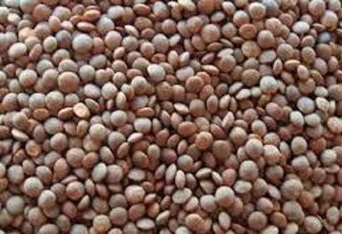 100 Percent Pure Natural Healthy Colour Black Organic Masoor Dal Admixture (%): 0.5%