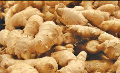 100 Percent Pure And Natural Hygienically Packed A Grade Fresh Ginger For Tea Moisture (%): 12%