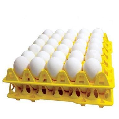Extremely Demanded The Nutrition Source High In Quality Protein Eggs  Egg Origin: Chicken