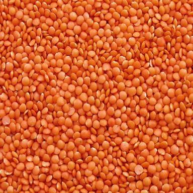 Organic Highly Nutritious And No Added Preservatives Gluten Free Unpolished Red Masoor Dal