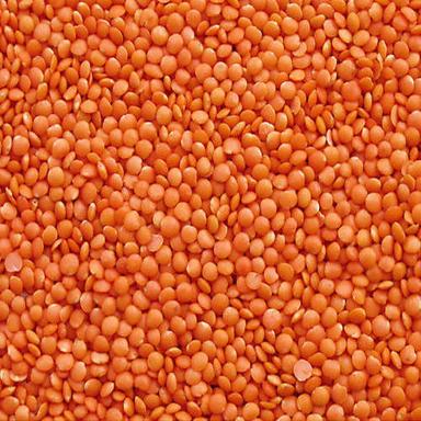 No Added Preservatives Highly Nutritious Gluten Free Unpolished Red Masoor Dal Admixture (%): 0.2%
