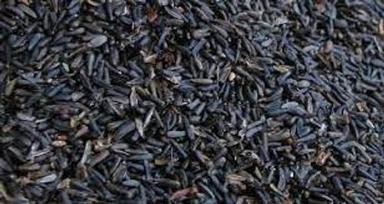 Black  Bird Seeds Suitable For For Canary Finches Waxbills Budgies Niger Seeds 