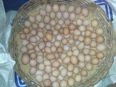 100% Pure, Fresh Healthy And Organic Brown Eggs With High Protein And Vitamin Egg Size: Customize