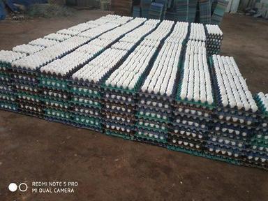 Highly Nutritious Organic White Poultry Eggs With Various Health Benefits Egg Size: Customize