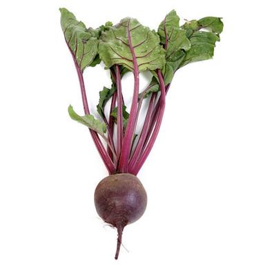 Round Healthy Farm Fresh Naturally Grown Antioxidants And Vitamins Enriched Beetroot 