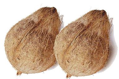 भूरा 350 ग्राम, आमतौर पर उगाया जाने वाला साबुत भूसा हुआ नारियल 