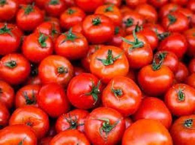 100 Percent Fresh Natural And Pure Organic Round Red Tomato For Cooking Use Moisture (%): 17%