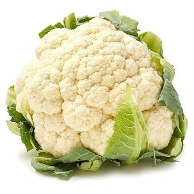 Healthy And Nutritious Good For Health Pesticide Free Fresh White Cauliflower Moisture (%): 1479.5%