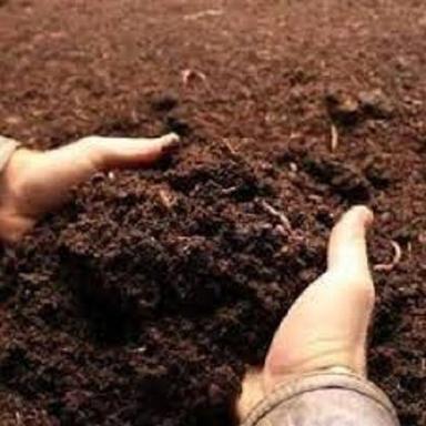 Chemical Free Natural Healthy Magical Potting Mix Soil-Less With Cocopeat  Powder