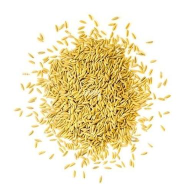 100 Percent Pure Quality And Healthy Long Grain Golden Natural Paddy Rice  Crop Year: 6 Months