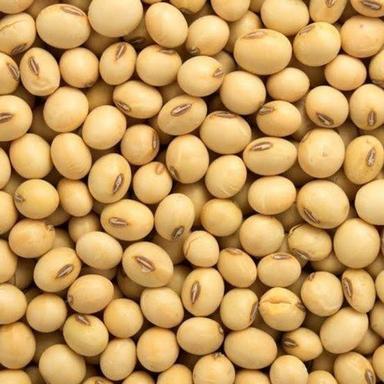Yellow High In Fibre High In Protein Soya Beans