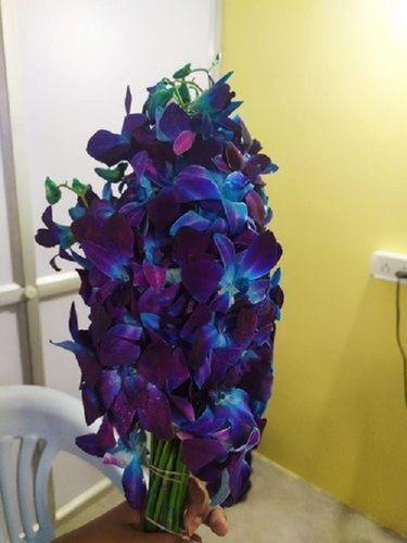 100 % Fresh Natural Fragrance Eco Friendly Blue Orchid Flower Bunch Shelf Life: 2 Months