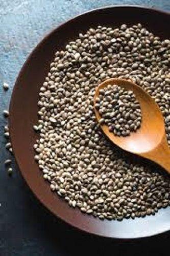 Pure And Healthy Mustard Seeds For Spices And Oil