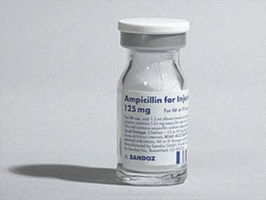 Sandoz Ampicillin Injection General Medicines