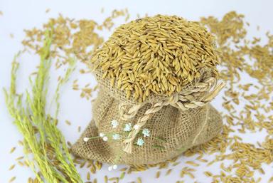 100 Percent Pure And Naturally Pure Grown Raw Healthy Long Grain Paddy Rice Broken (%): 1