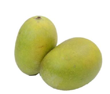 Green Organic And Delicious Tasty Ratnagiri Langra Mango With 5 Dozen Packaging Size  Origin: India