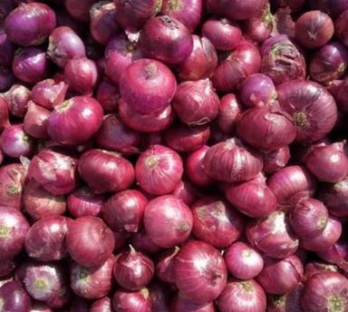 Long Shelf Life 1 Kg Fresh Red Onion Enhance The Flavor Rich Healthy Natural Taste Moisture (%): 20-30%