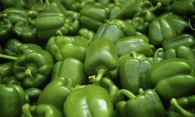 Organically Farmed Preserved Raw Fresh Spicy Green Capsicum (Bell Pepper), 1 Kg