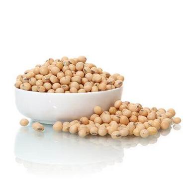 Brown High-Quality Protein Several Vitamins Minerals Healthy Carbohydrates Soya Beans 