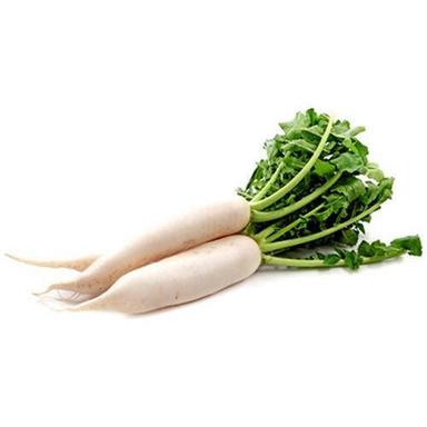 Healthy Vitamins Rich Taste Natural And Rich Source White Radish For Cooking