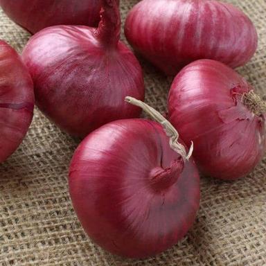 Round Dry Red Naturally Grown Pesticides Free Farm Fresh Healthy A Grade Onion