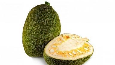 Oval Indian Origin Naturaly Grown A Grade Green Fresh Rich Vitamins Healthy Jackfruit