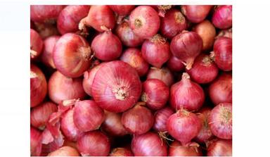Round Fresh Red Onion With 7% Moisture, Pack Of 1 Kilogram For Vegetables And Salads