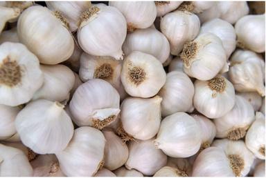 Pure And Natural Spear Whole Raw Garlic  Moisture (%): 92%