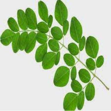 Herbal Product Himalayan Herbaria Moringa Oleifera Leaves Extract