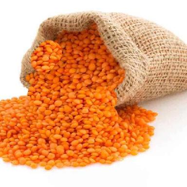 Indian Originated 96% Pure Commonly Cultivated Organic Red Masoor Dal