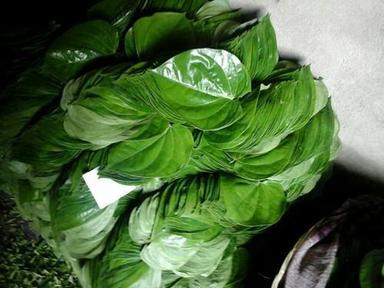 A Grade Natural Green Organic Betel Leaf