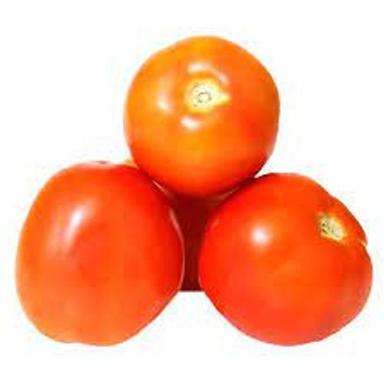 100% Natural Good Source Of Vitamins Rich Super Food Vegetable Fruit Fresh Tomato  Moisture (%): Bell Pepper And Moisture