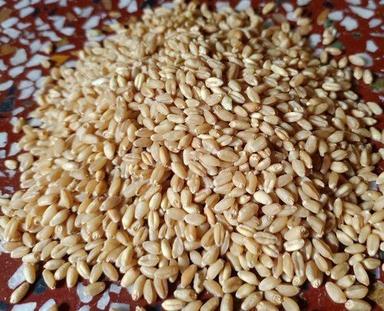 Carbohyderate Enriched Farm Fresh Naturally Grown 100% Healthy Golden Sharbati Wheat Broken (%): 99