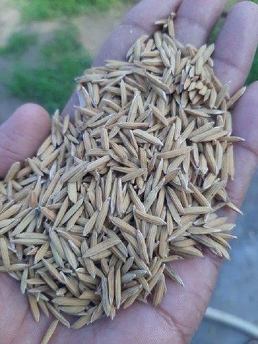Free From Impurities Hygienically Processed Natural And Pure Dried Brown Paddy Seeds Admixture (%): 2%