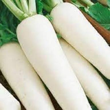 Excellent Source Of Vitamin C Sweet And Pungent In Taste Radish Shelf Life: 5-6 Days