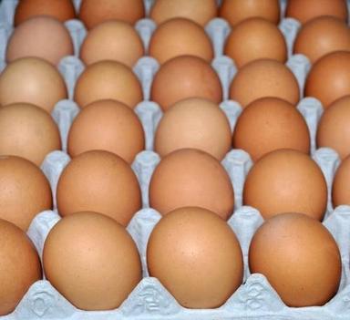 Healthy Fresh And Natural Good Source Of Proteins Rich In Fat Brown Eggs Egg Origin: Chicken